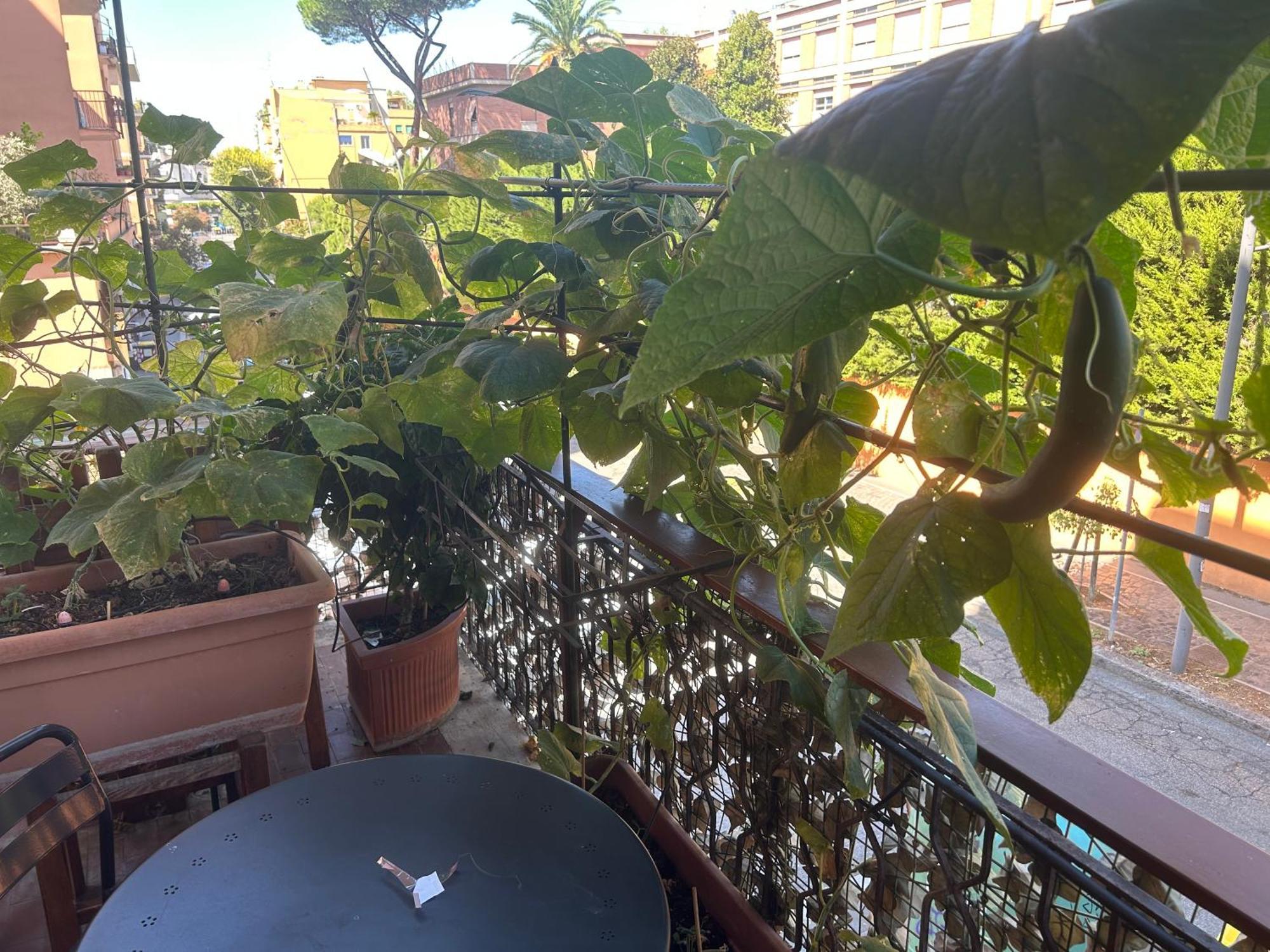 La Fontana Di Carlotta Bed & Breakfast Rome Exterior photo
