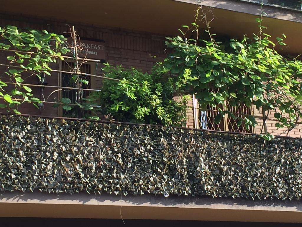 La Fontana Di Carlotta Bed & Breakfast Rome Exterior photo